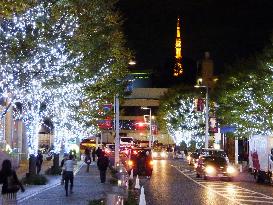 Christmas illuminations sparkle all over Tokyo
