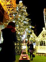Christmas illuminations sparkle all over Tokyo