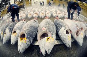 Bluefin tuna quota to be cut