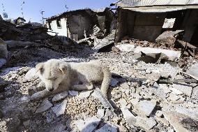 S. Korean island after N. Korea attack