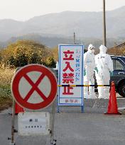 Bird flu hits Japan farm
