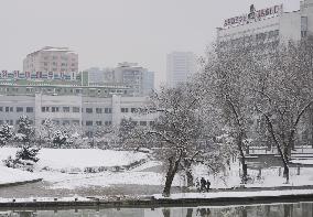 N. Korea citizens appear calm despite military drills