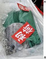 Sojitz begins shipment of farmed bluefin tuna