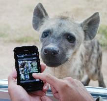 Zoos using smartphones to attract visitors