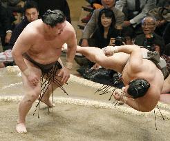 New Year sumo