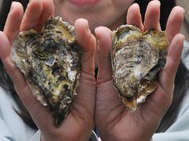 Heart-shaped oysters