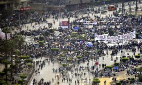 Protestors in Cairo