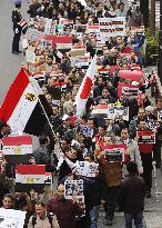 Egyptians in Japan call for Mubarak's resignation