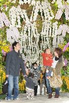 Orchid festival at flower park in Tottori Pref.