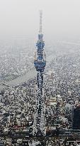 Tokyo Sky Tree tops 600 meters