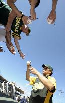 A's Matsui at spring training