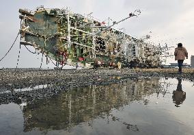 Megaquake aftermath in Japan