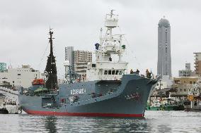 Japan whalers return home