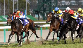 Horse racing in Japan