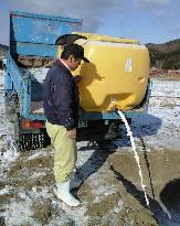 Cattle farmer in Fukushima Pref.