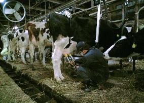 Cattle farmer in Fukushima Pref.