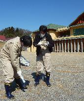 Fukushima Prefecture measures radiation at schoolyards