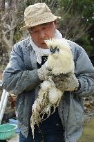 Man reunited with chicken after 4 weeks