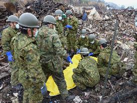 Search for tsunami victims