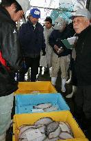 1st fish auction in Miyako after quake