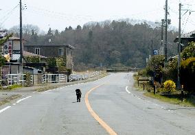 Town of Futaba after evacuation