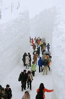 Alpine route opens for new season