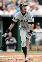 Mariners' Ichiro vs. Royals