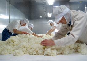 Sake maker Ichinokura resumes production