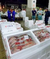 Tsukiji fish market in Tokyo