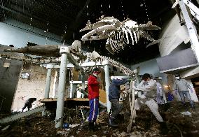 Cleaning tsunami-hit museum