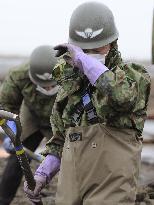 Searching for missing people in Fukushima