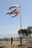 Carp streamers in tsunami-hit Minamisoma