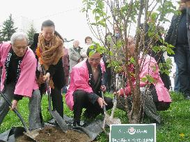 'Sakura' trees in Lithuania to honor wartime Japan diplomat