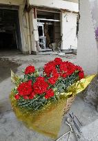 Carnations in tsunami-hit areas