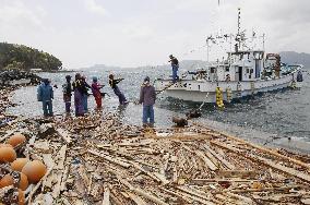 Fishermen at sunken pier in Rikuzentakata