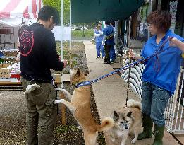 Pet shelter in disaster-hit Ishinomaki