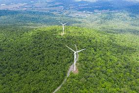 CHINA-HEILONGJIANG-DADINGZI MOUNTAIN FOREST PARK (CN)