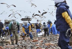 Disposal of rotting seafood