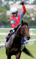 Earnestly wins Takarazuka horse race
