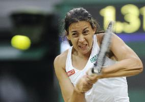 Bartoli vs. Lisicki at Wimbledon