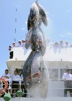 Tuna landed at Fukushima port