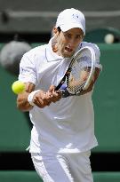 Djokovic advances to Wimbledon final