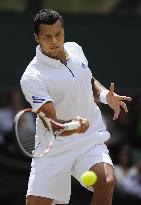 Tsonga loses in Wimbledon semifinal