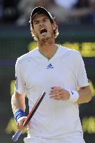 Murray loses in Wimbledon semifinal
