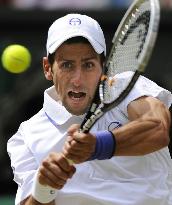 Djokovic advances to Wimbledon final