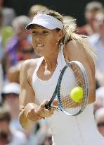 Sharapova at Wimbledon final