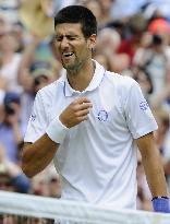Djokovic wins first Wimbledon title