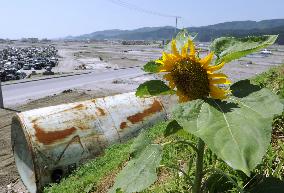 Rainy season over in Tohoku region