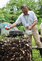 Leaf compost in Fukushima Pref.