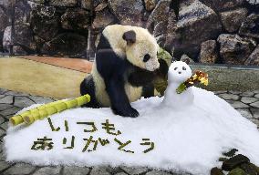 Father's Day gift for giant panda Eimei
